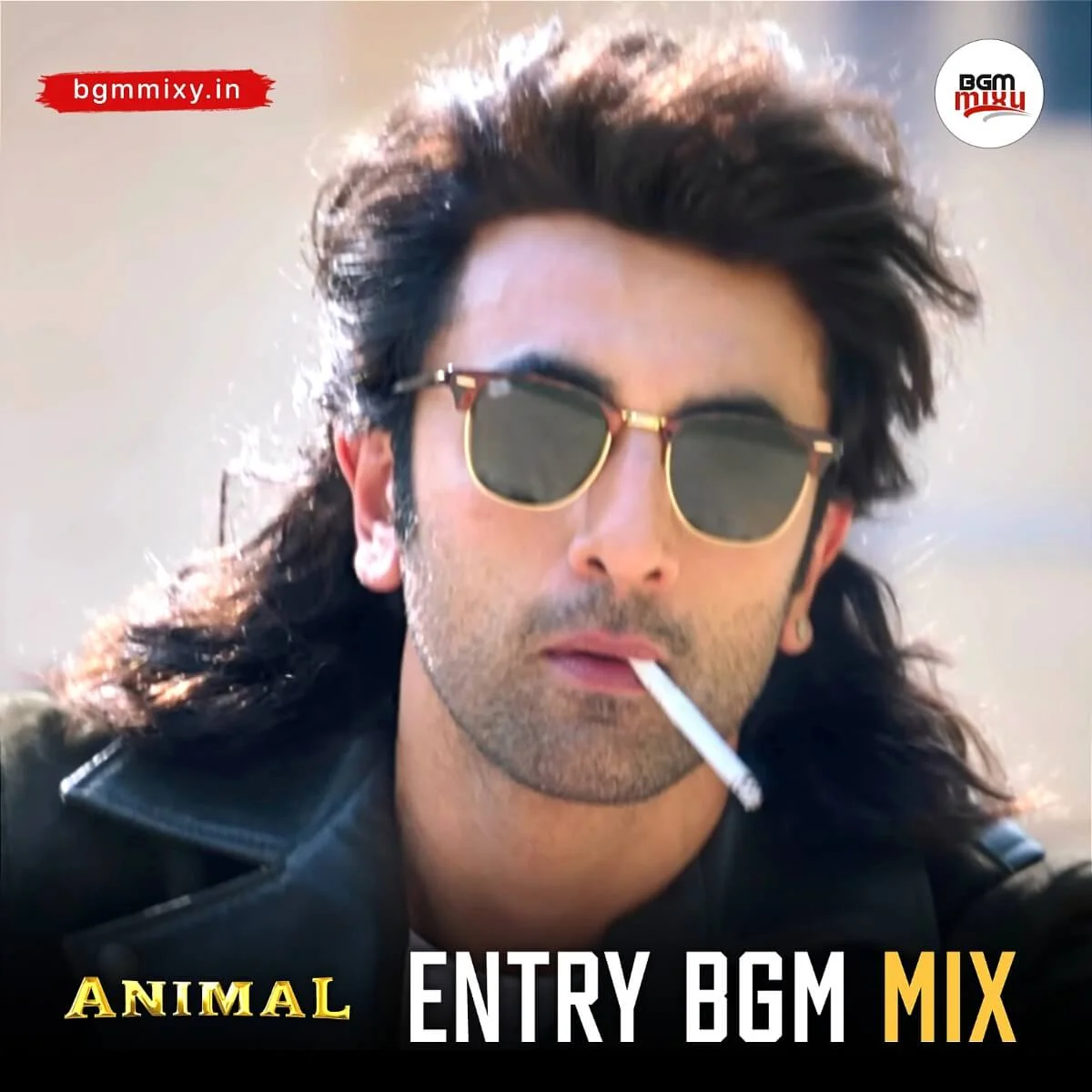 Animal Ranbir Kapoor Entry BGM Mix HD mp3 image